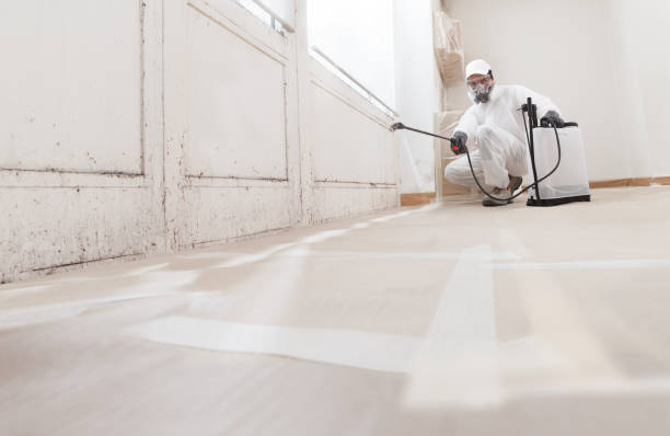 24/7 Emergency Mold Remediation experts in Fort Bragg, NC
