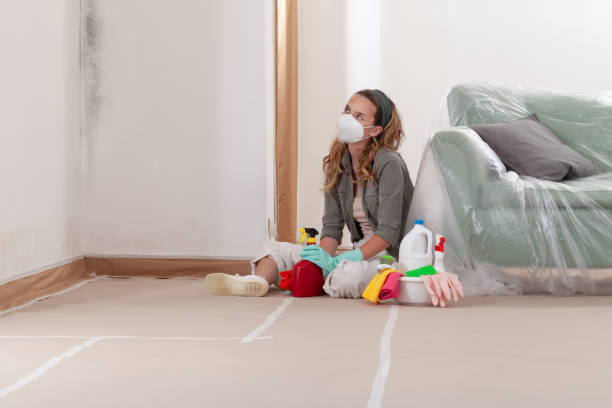 Reliable Mold Remediation contractor in Fort Bragg, NC by WQB Mold Removal